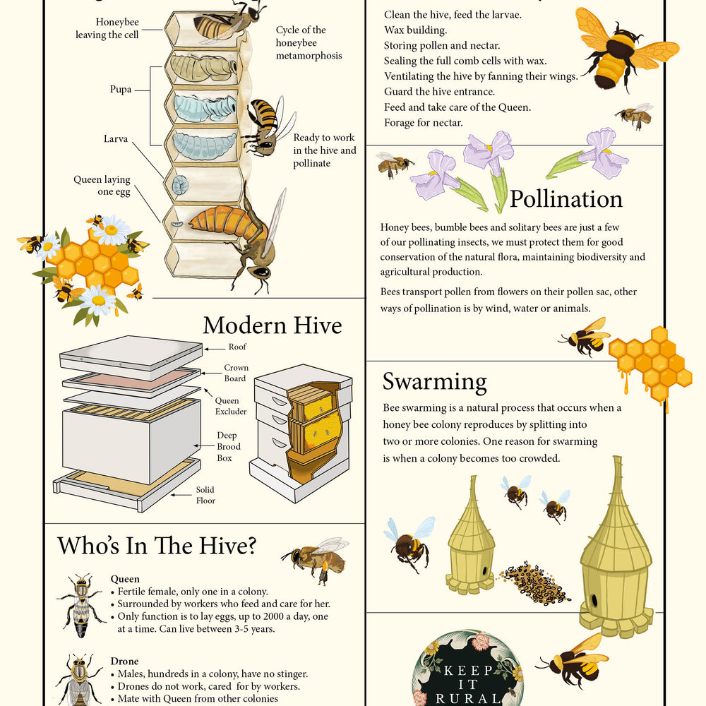 Bee Knowledge Bee Knowledge β The Role of Bees in the production of Honey β Keep It Rural